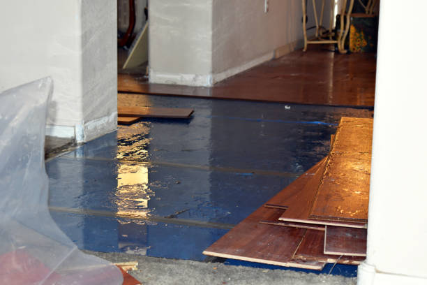 Professional Basement Flood Cleanup technician working in Augusta, MI